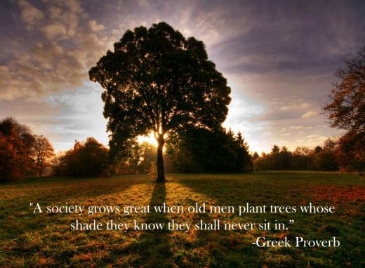 یک جامعه زمانی به بلوغ می‌رسد، که کهنسالانش درختانی را بکارند درحالیکه می‌دانند زیر سایه‌ی آنها نخواهند نشست/ضرب المثل یونانی